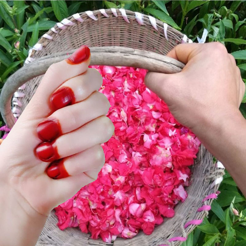 40g Henna Nail Dye Powder For  - Nail Art For Men ulasan dan harga