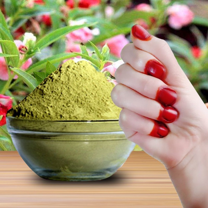 40g Henna Nail Dye Powder For  - Nail Art For Men ulasan dan harga